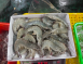 北門急鮮蝦(售完)